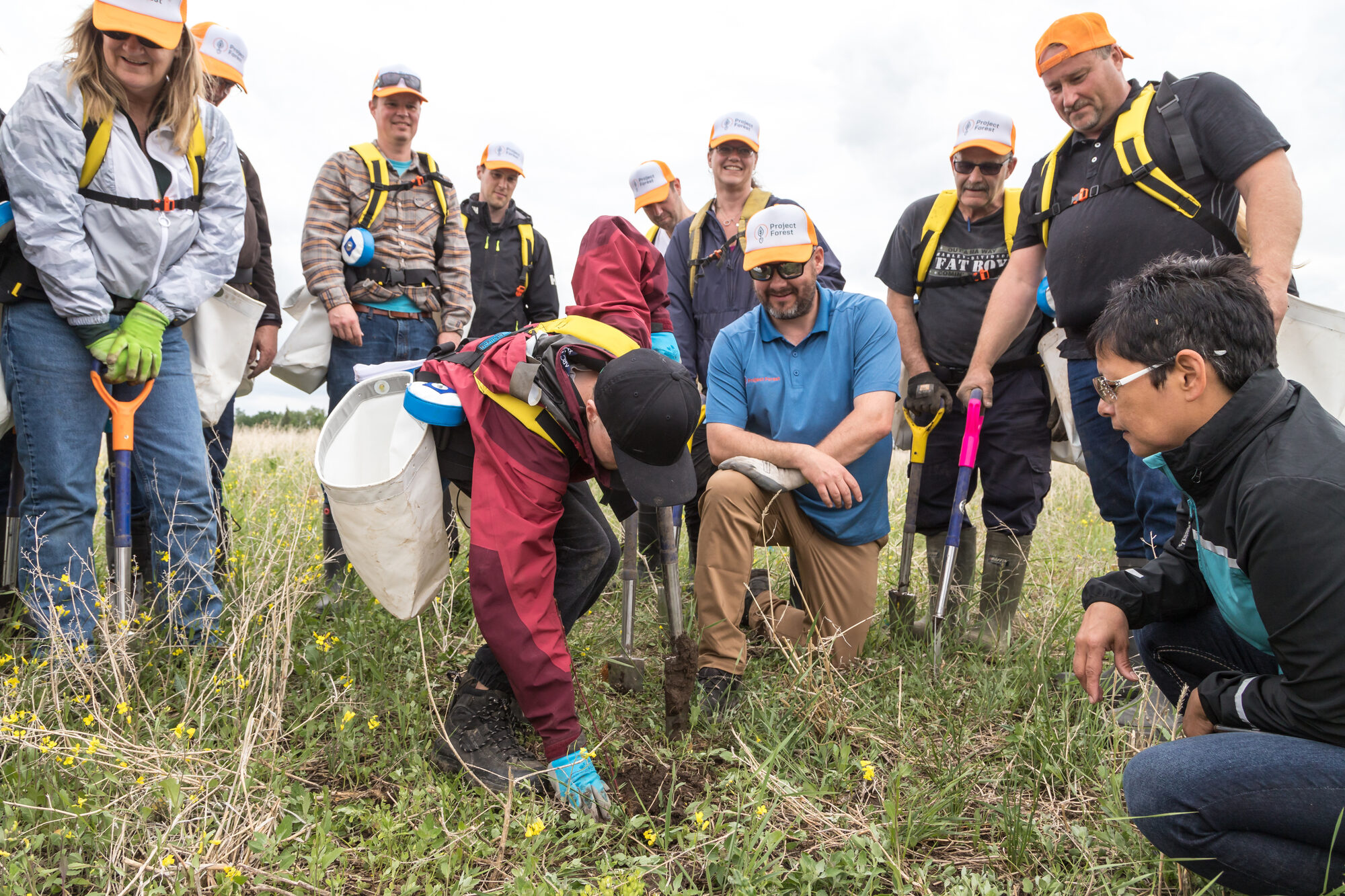 A group in hard hats and safety vests gathered around a tree-planting demonstration
