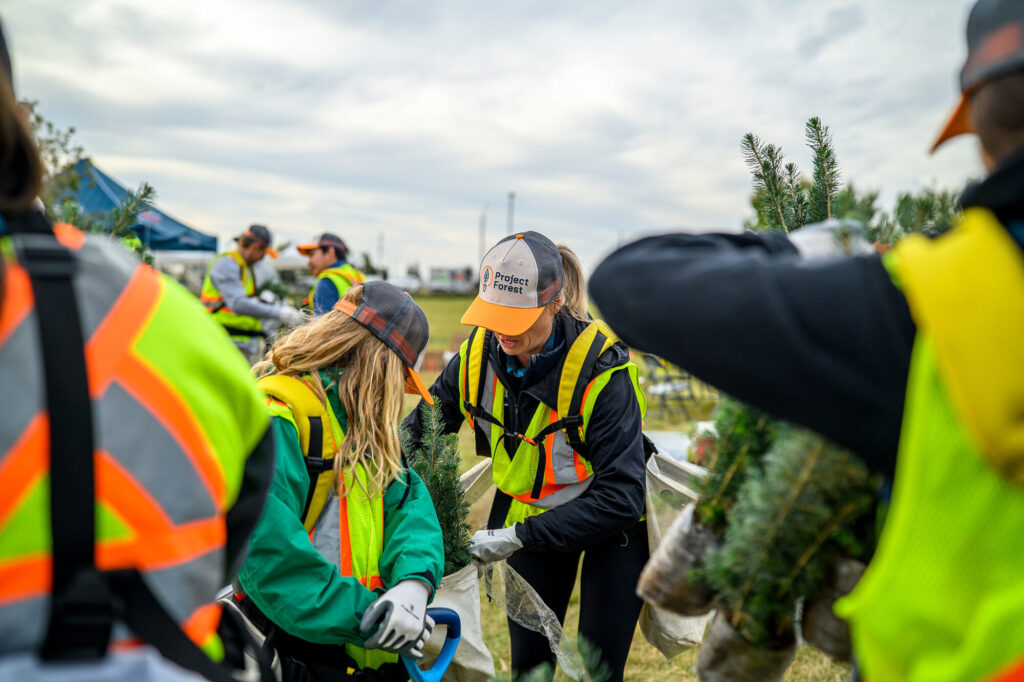 Planters in safety vests preparing seedlings