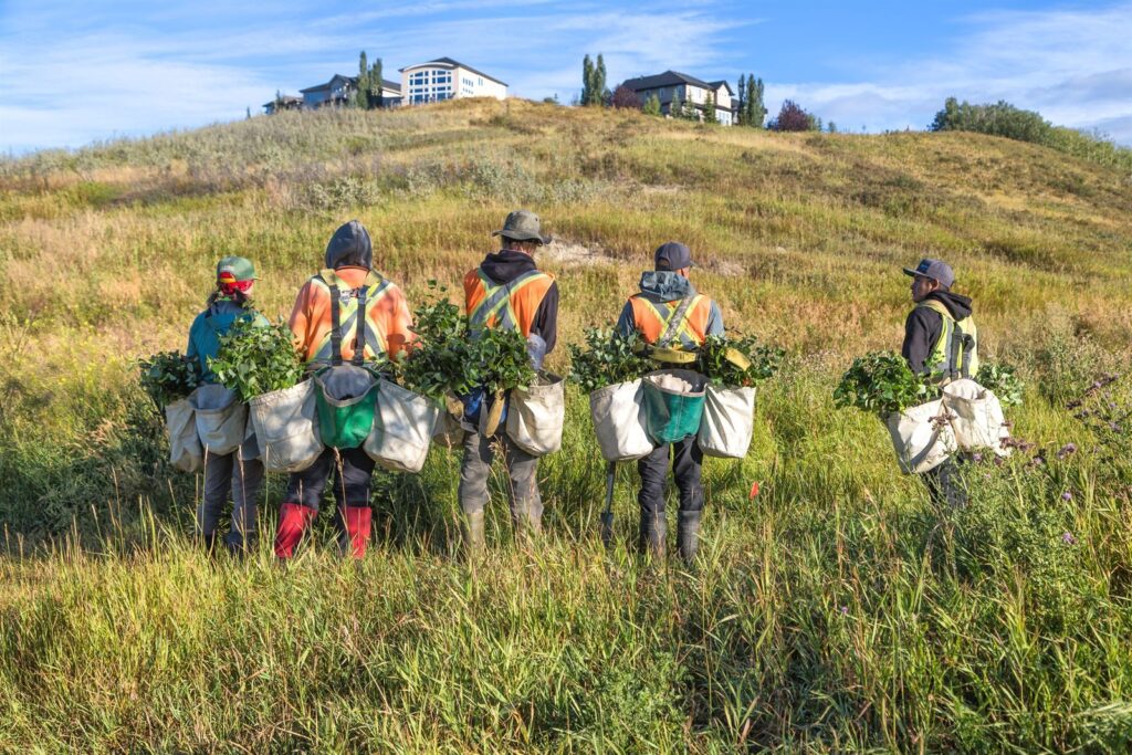 Tree planting volunteers at work
