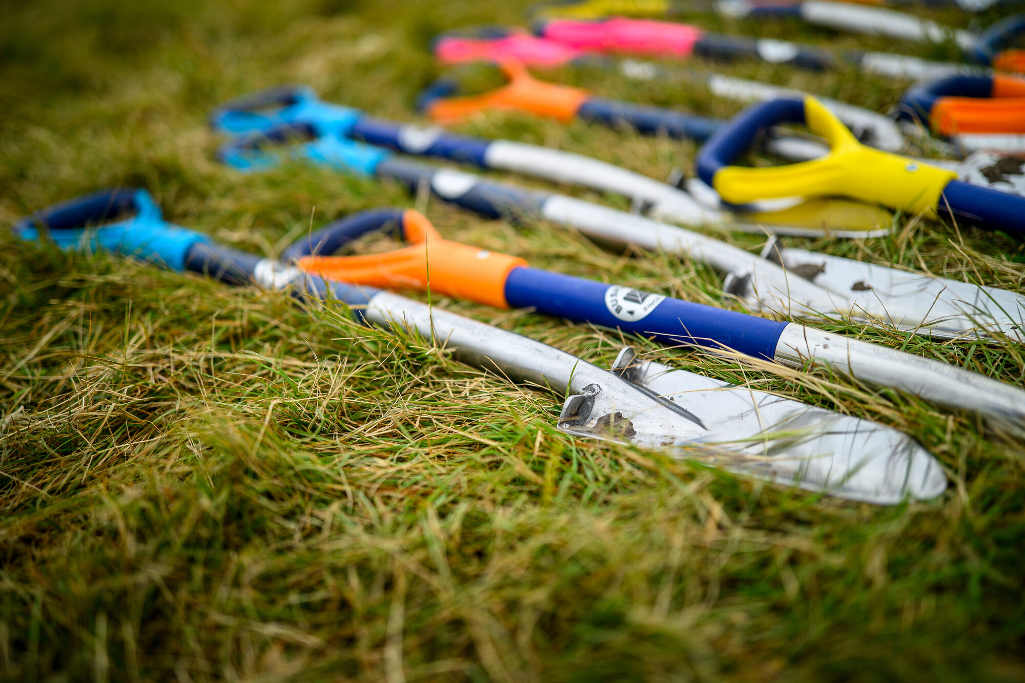 Tree-planting shovels laid out on the grass