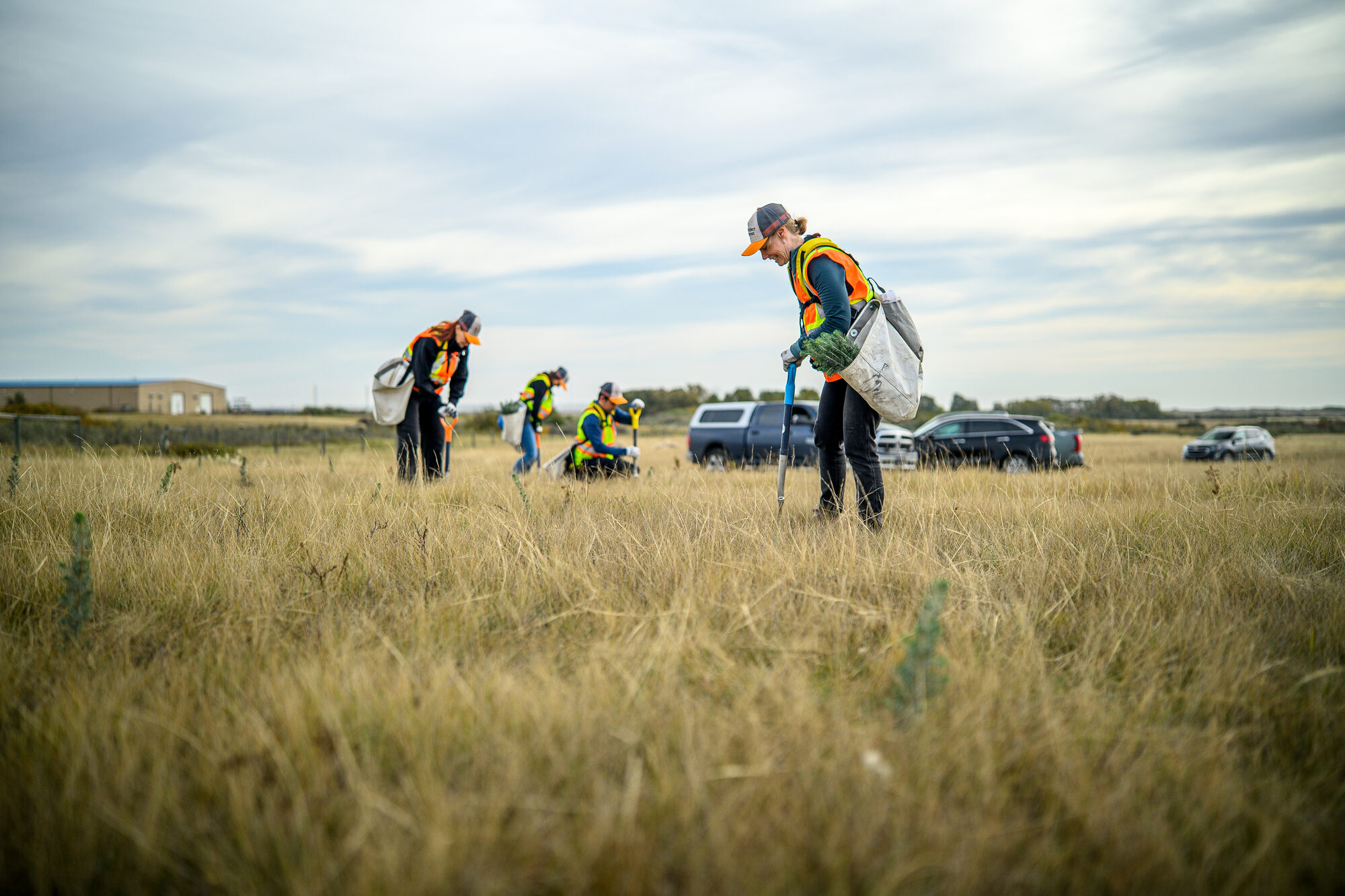 Volunteers in safety vests planting seedlings in a grassy field