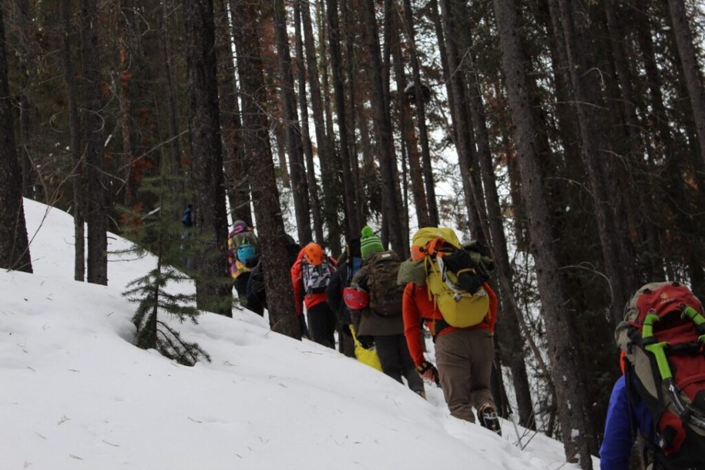 A line of hikers climbing a snowy forest slope