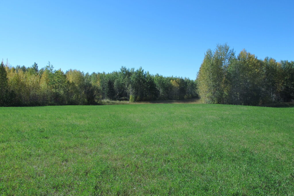 The Camp Creek project site