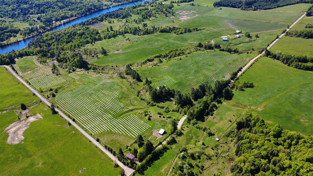 The Canada’s Tree Adaptation Project project site