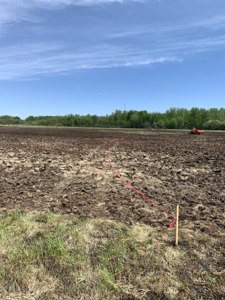 The Cumberland House Cree Nation Food and Medicine Forest project site