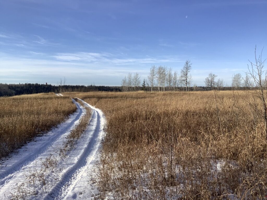 The Doig River First Nation Rewilding project site