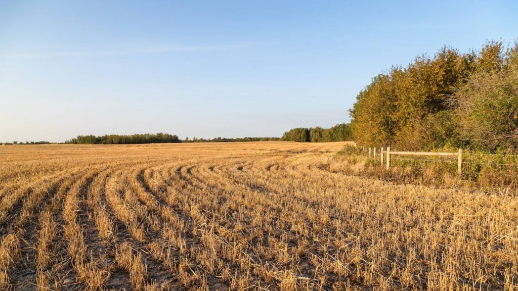 The Golden Ranches project site