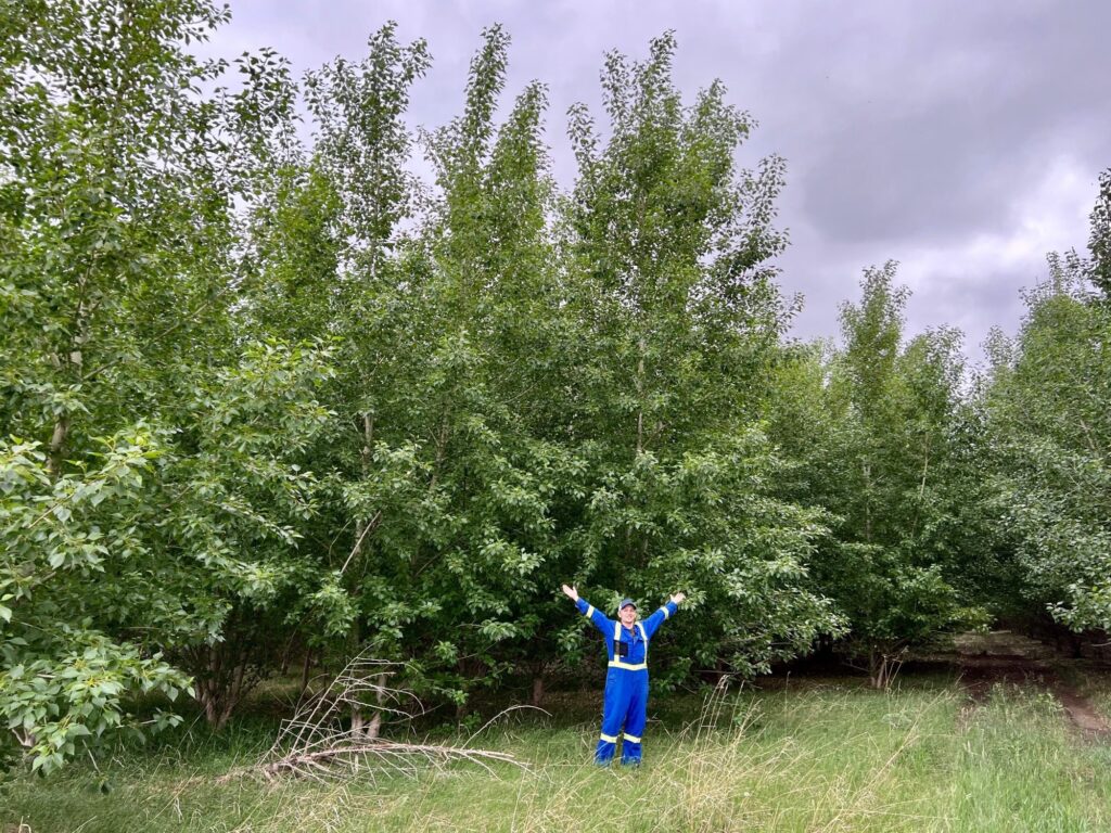 The Nutrien Forest project site