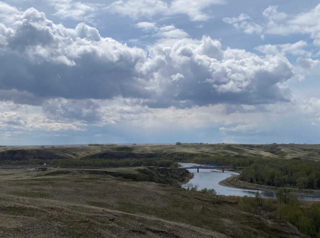 The Siksika Nation Community Shelterbelt Program project site