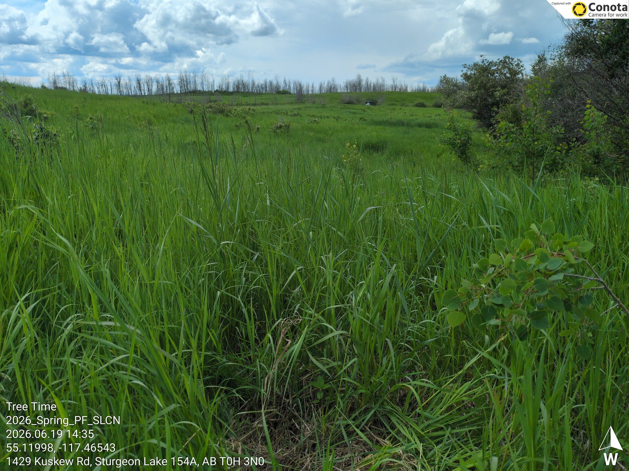 The Sturgeon Lake Cree Nation project site