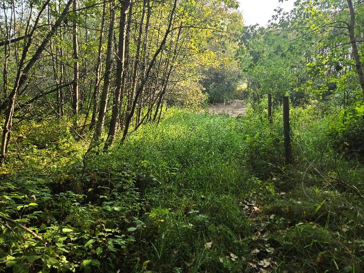 The Wagner Natural Area project site