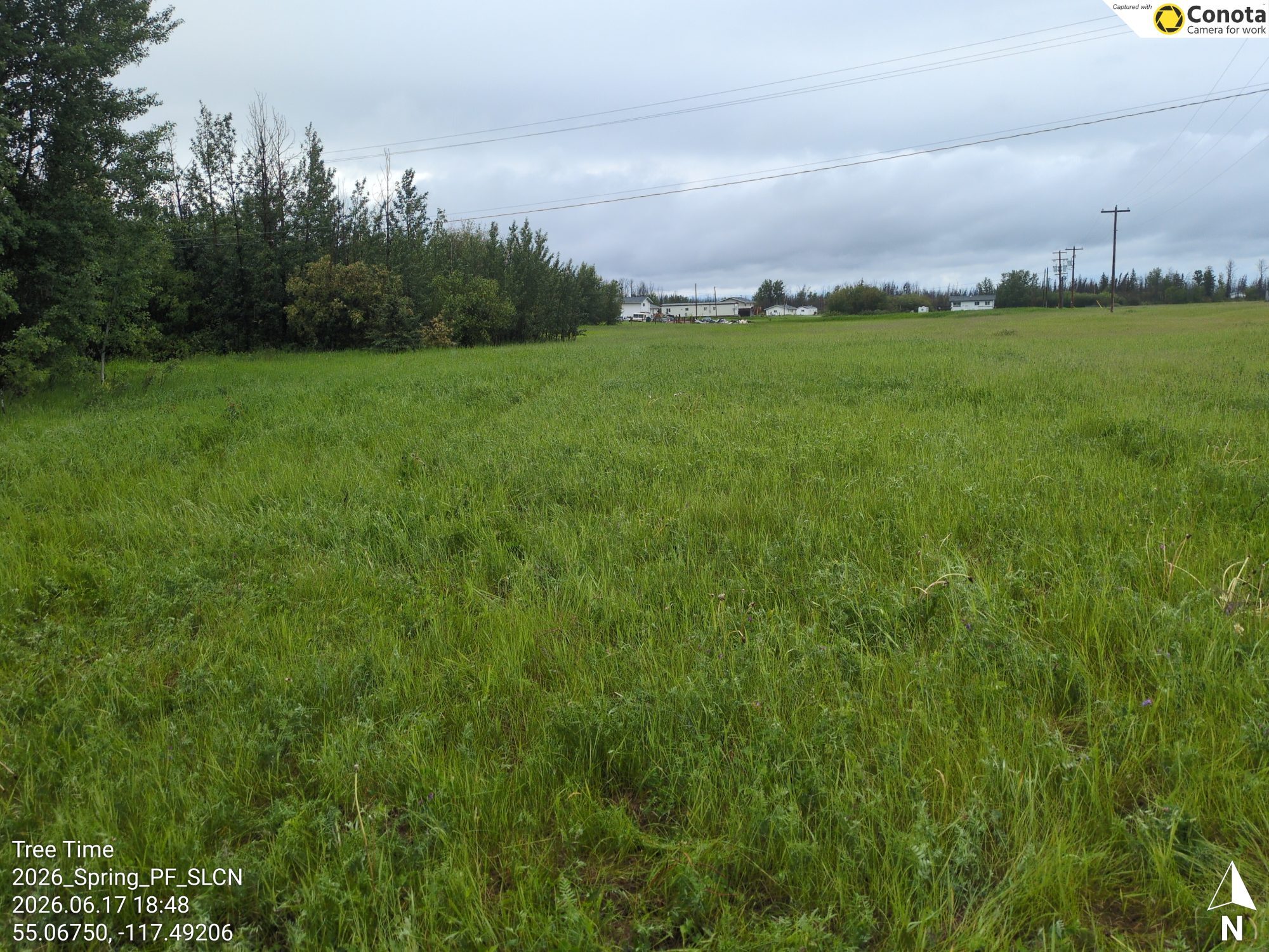 Tall grass beneath a wide sky at the Sturgeon Lake Cree Nation site
